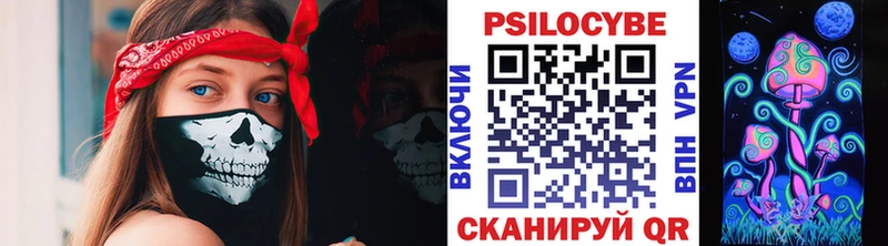 что такое   Шиханы  Галлюциногенные грибы Psilocybine cubensis 